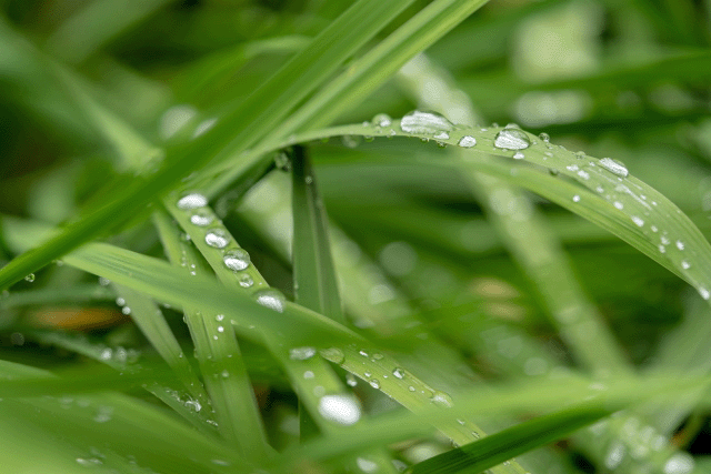 慈雨の覚え方イメージ