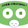 「撒播」覚えていますか？