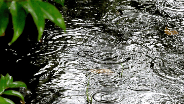 霖雨の覚え方イメージ