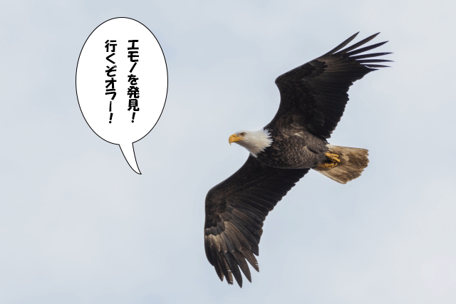 鷙鳥の覚え方イメージ