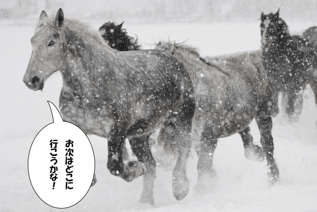 馳騁の覚え方イメージ