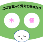 「木槿」覚えていますか？