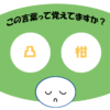 「凸柑」覚えていますか？