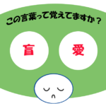 「盲愛」覚えていますか？